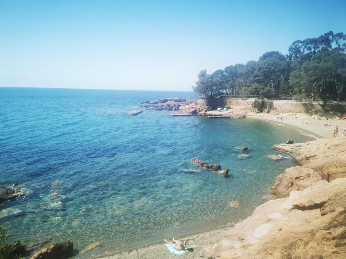 Mobil Home Neuf Camping L Ile Dor Plage St Raphael Avec Piscine แซ็งต์-ราฟาเอล ภายนอก รูปภาพ
